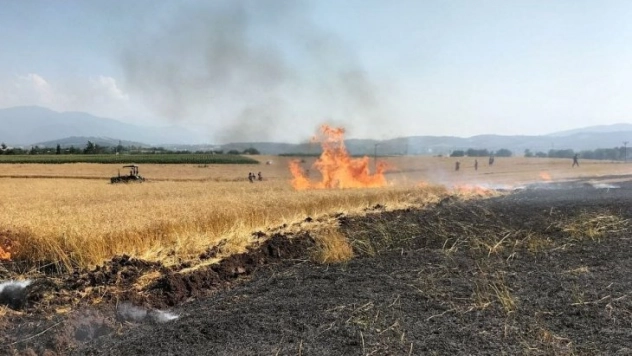 Osmaniye'de 10 dönüm buğday tarlası yandı