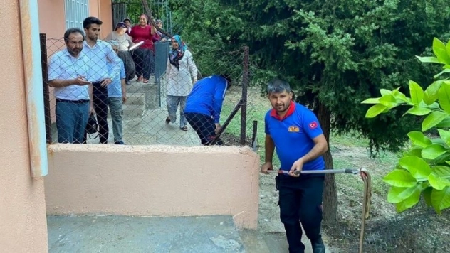 Osmaniye'de eve giren yılanı itfaiye yakaladı