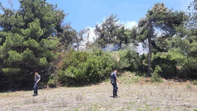 Osmaniye'de orman yangını