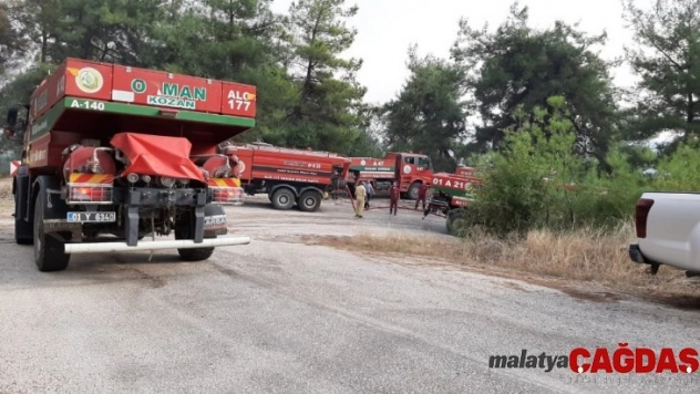 Osmaniye'de çıkan orman yangınında 3 hektar alan yandı
