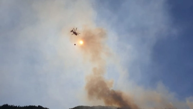 Osmaniye'de orman yangını