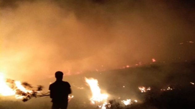 Ot yangını evlere sıçramadan söndürüldü