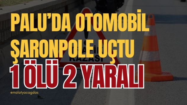 Otomobil şarampole devrildi:1 Ölü, 2 Yaralı