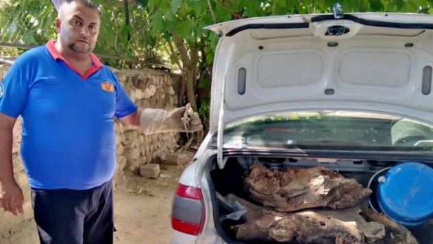 Otomobile sıkışan kertenkeleyi itfaiye kurtardı