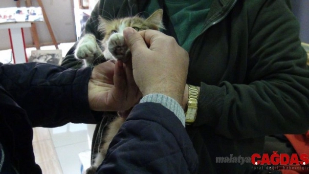 Otomobilin altına giren kediyi tamirci çıkardı