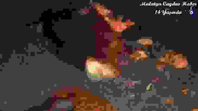 Otomobilin çarptığı 13 koyun telef oldu