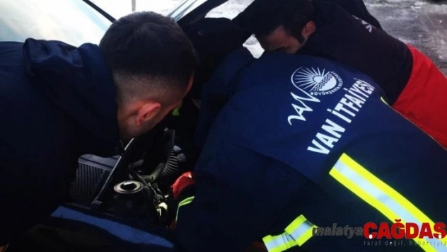 Otomobilin motor kısmına sıkışan kediyi itfaiye kurtardı