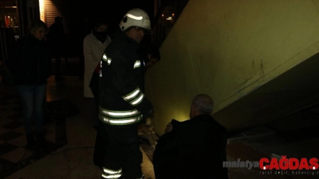 (Özel) 3 gün yürüyen merdiven altında mahsur kalan felçli kediyi itfaiye erleri kurtardı