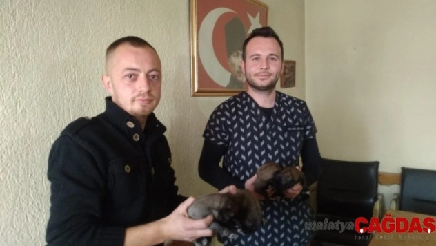 (Özel) 4 yavru köpeği çuvala koyup çöpe attılar