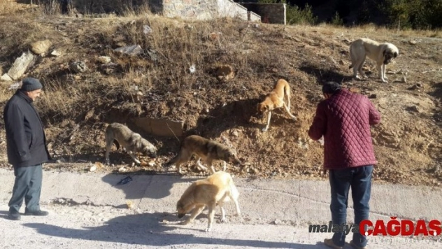 Özel İdare çalışanlarından örnek davranış