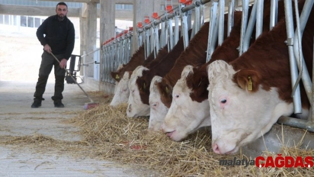 (Özel) İstanbul'daki işini bırakıp hayvancılık için tesis kurdu, elektrik alamayınca mağdur oldu