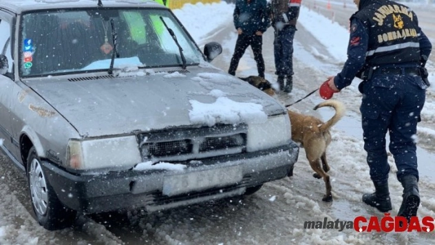 (özel) Jandarma trafik ekiplerinden köpekli trafik uygulaması