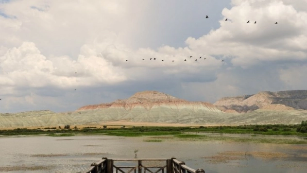 (Özel) Nallıhan Kuş Cenneti'nde görsel şölen