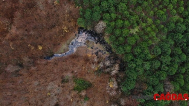 (Özel) Şile'de ormana bırakılan yüzlerce otomobil lastiği havadan görüntülendi