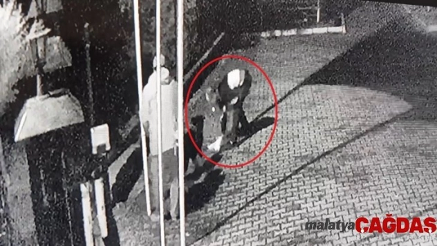 (Özel) Tasmasının sıkışmasıyla boğulan köpeği dakikalarca kalp masajı yaparak kurtardılar