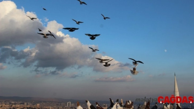 (Özel) Yüzlerce güvercin gökyüzünü süsledi