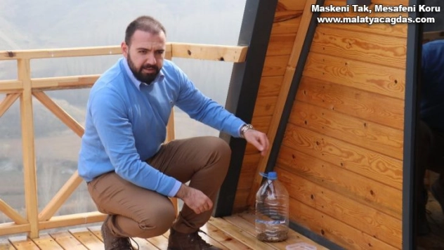 Pandemi sürecinde sokak hayvanları için öneriler