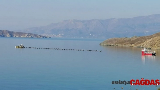 Paşalimanı'ndaki midye çiftliğinin ruhsatı iptal edildi