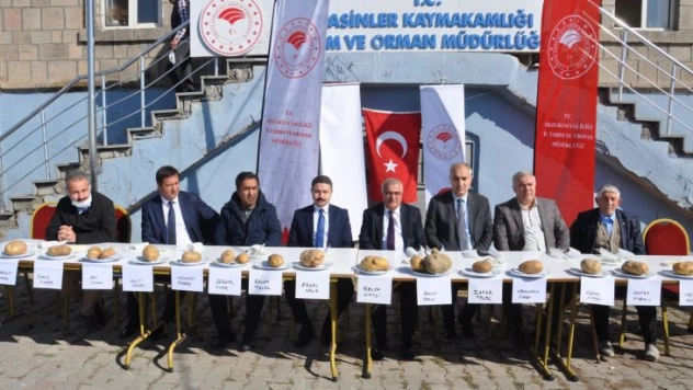 Pasinler'de patates yarışması düzenlendi