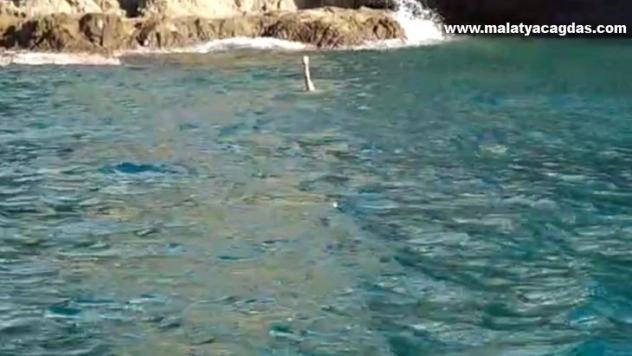 Patlayıcıyla balık avlarken yakalandı, 10 bin 911 lira ceza yedi