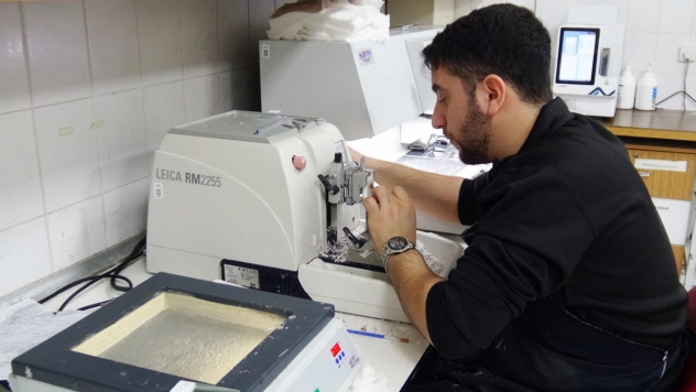 Patolojiye Gönderilen Her Örnek Kanser Değildir