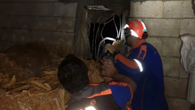 Pencere korkuluklarına sıkışan köpeği AFAD kurtardı