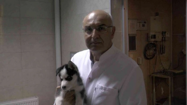 Pet hayvanlarında her tüy dökülmesi hastalık değil