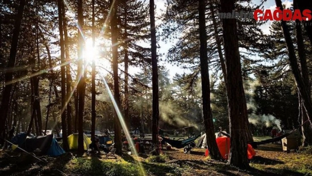 Piknik sepetini al gel