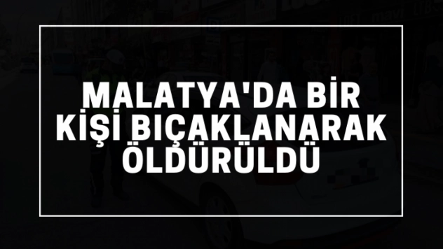 Polis, cinayet şüphelisini gözaltına aldı