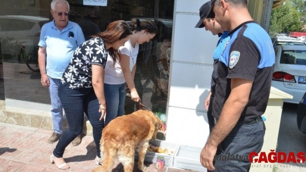 Polis, sokak hayvanlarını unutmadı