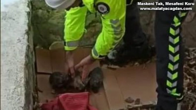 Polisten donmak üzere olan yavru köpeklere şefkat eli