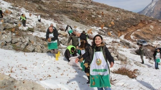 Pozantı'da sedir tohumları toprakla buluştu