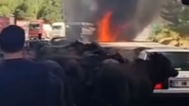 Pozantı Otoyolu'nda Tır Yangını: Hayvanlar Kurtarıldı