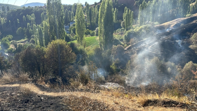 Pütürge'de Çıkan Yangın Kontrol Altına Alındı