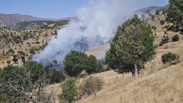 Pütürge'de orman yangını kontrol altına alındı