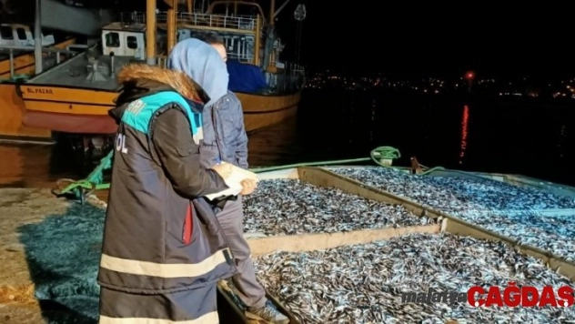 Rize'de 25 ton hamsiye el konuldu