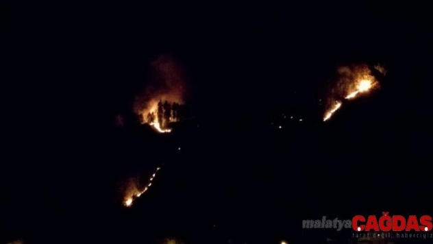 Rize'de 4 ayrı noktada örtü yangını