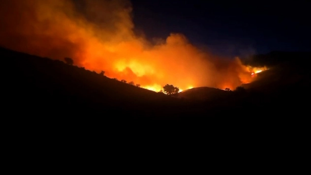 Rüzgarla Büyüyen Yangın Kontrol Altına Alındı