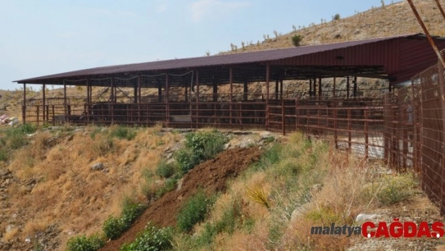 Sabah kahvaltılı, öğlen yemekli 5 yıldızlı kurban hizmeti