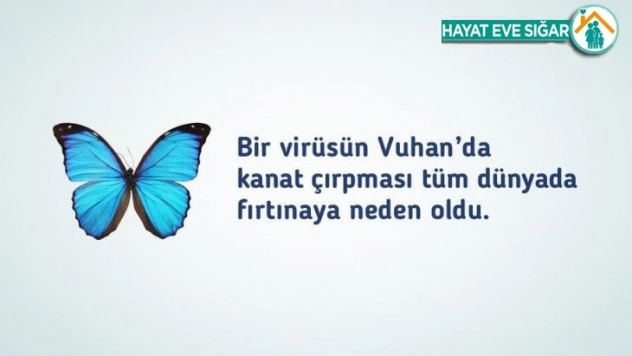 Sağlık Bakanı Koca'dan 'kelebek etkisi' uyarısı