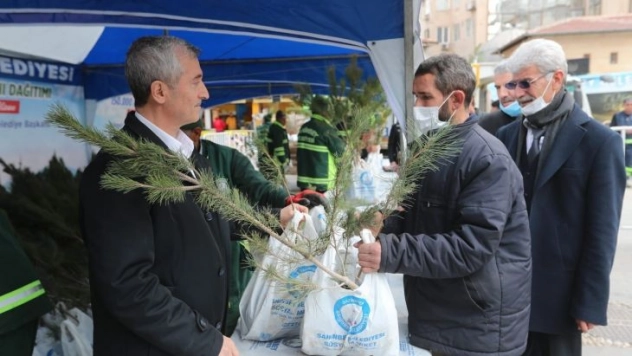 Şahinbey'de 150 bin çam fidanı dağıtıldı