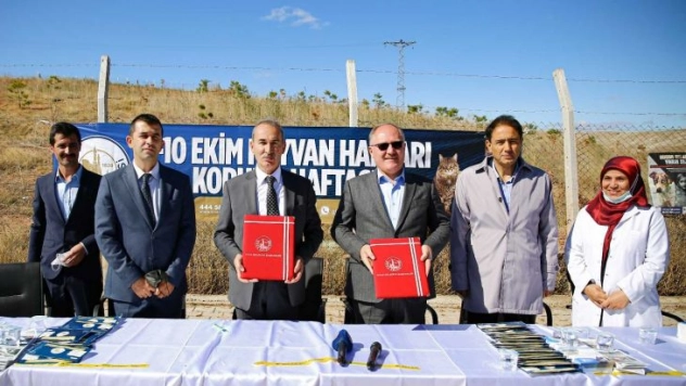 Sahiplenilen hayvanlar için Belediye - Üniversite iş birliği