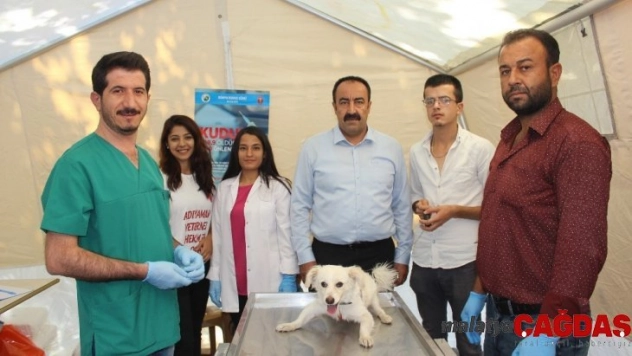 Sahipli ve sahipsiz hayvanlara kuduz aşısı