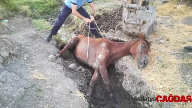 Sahipsiz atı itfaiye kurtardı