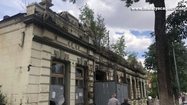 Sahipsiz kalan tarihi binanın duvarında ağaç yetişti