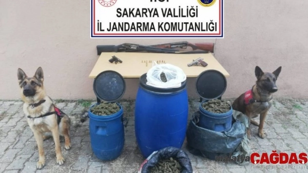 Sakarya'da 11 kilogram esrar ele geçirildi: 1 gözaltı