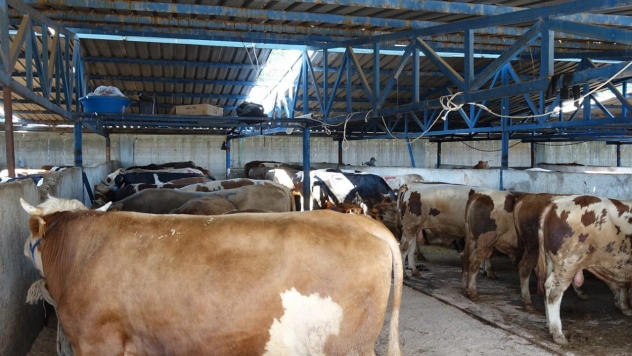 Uzmanından kritik uyarı