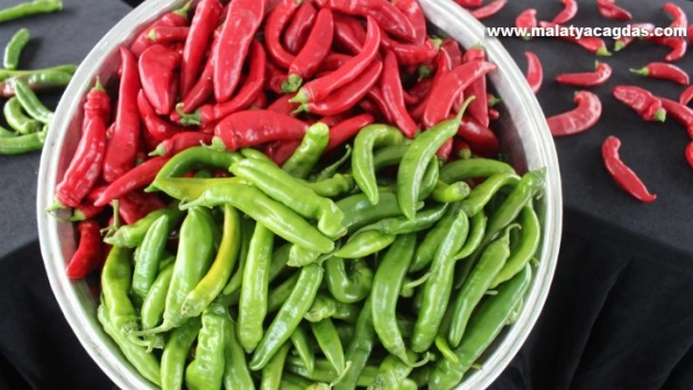 Samandağ biberine coğrafi işaret belgesi