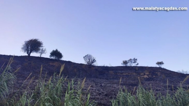 Samandağ'da bahçe yangını