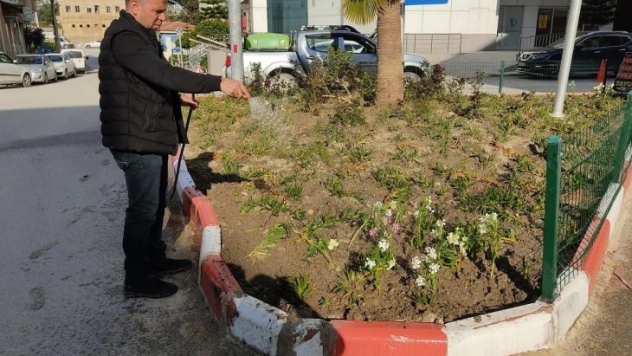 Samandağ'da çevre düzenlemesi çalışmaları
